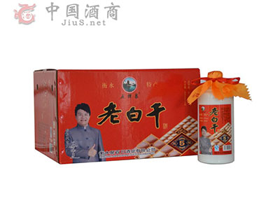 ��ˮ�۰ٴ���ҵ���޹�˾�ڴ������ļ���-1.jpg