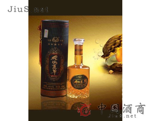 �����Ĳݾ�-����